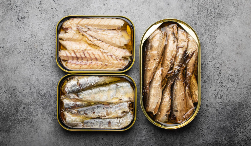different kind of canned fish in gray background 