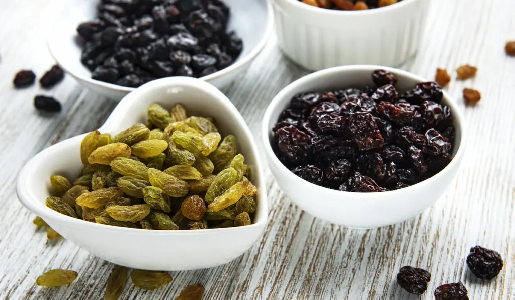 different kind of dried raisins on cute circle and heart shape bowls