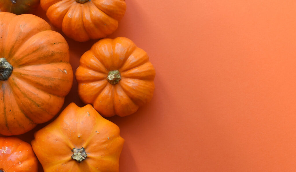 different size of pumpkins on orange background 