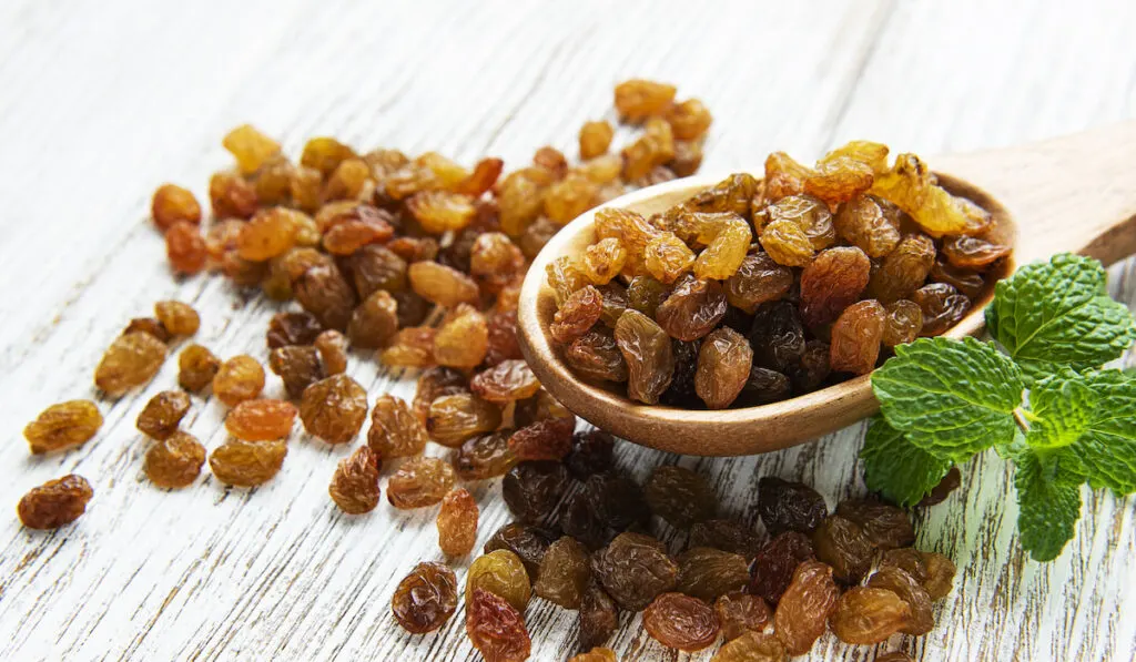 dried raisins on wooden spoon with leaves on white background