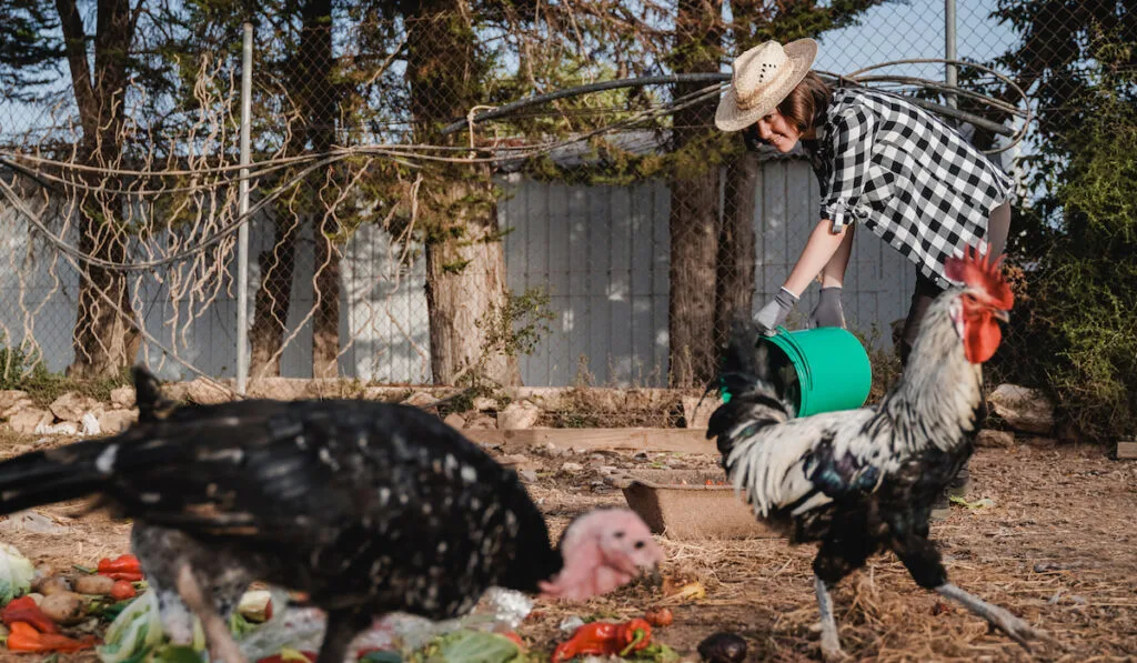 farmer feeding farm animals 