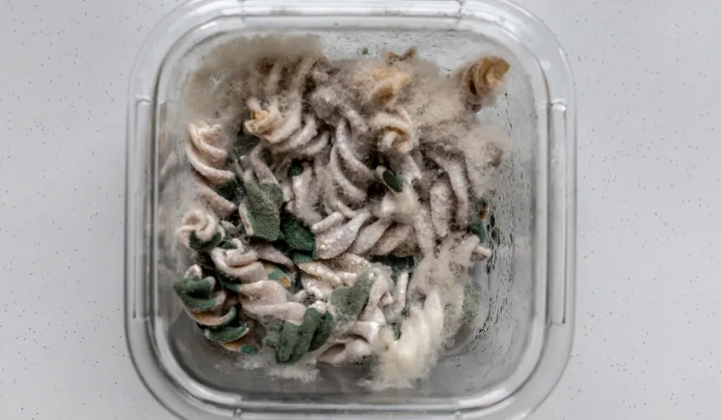 forgotten pasta in glass container covered with mold