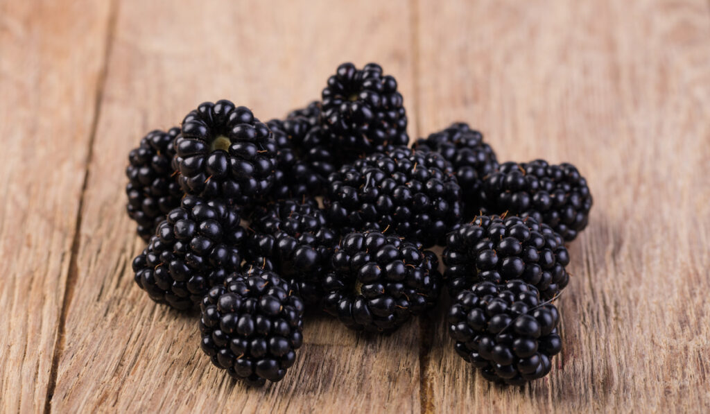 fresh blackberries on wooden background 