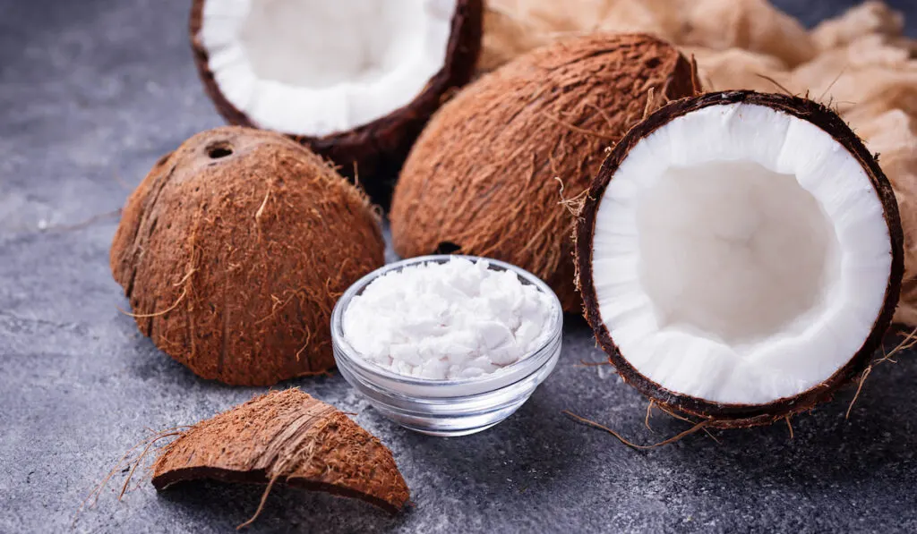 fresh coconuts on black background