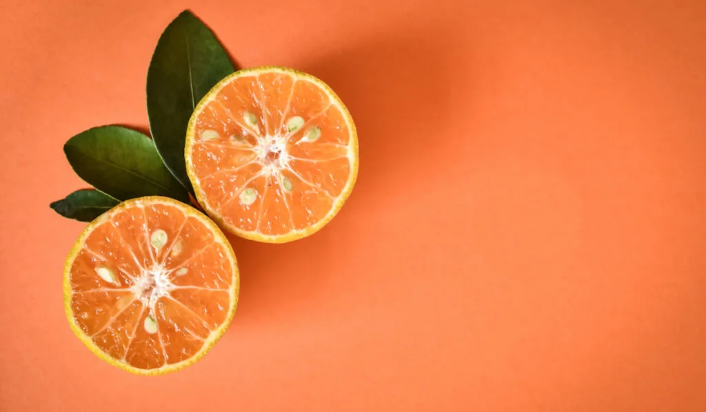 fresh orange with leaves on orange background 