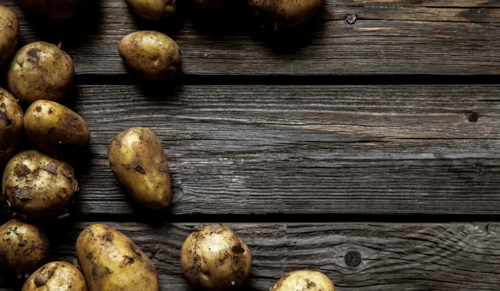 fresh organic potatoes varieties over plank rustic background 
