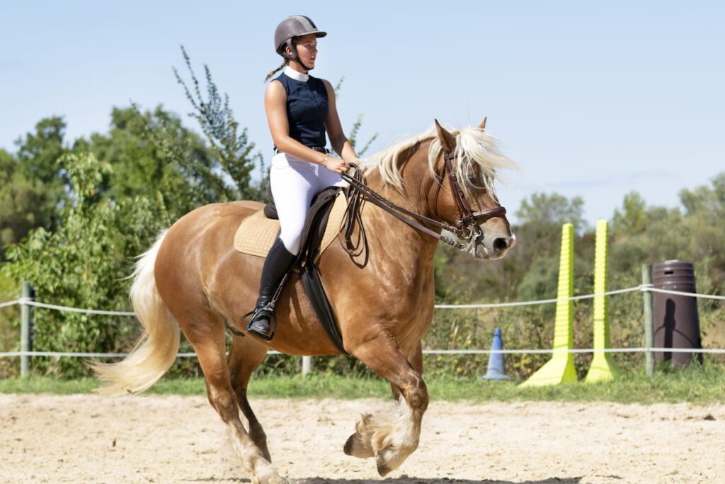 girl riding a horse 
