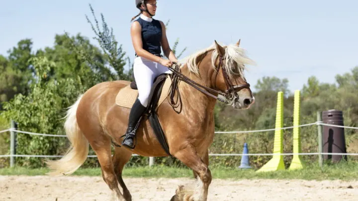 girl-riding-a-horse
