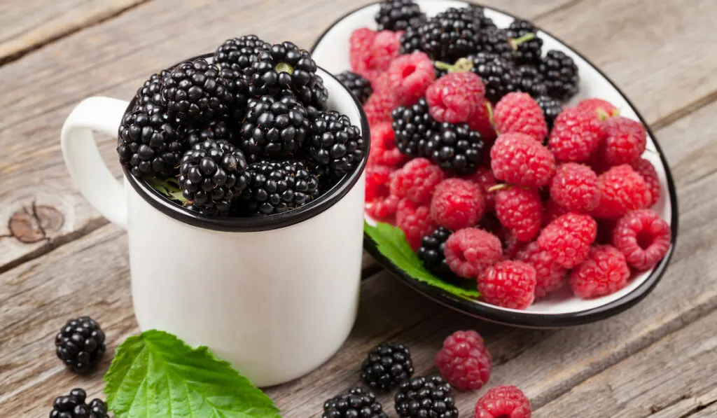 glass and plate of ripe blackberries and raspberries 