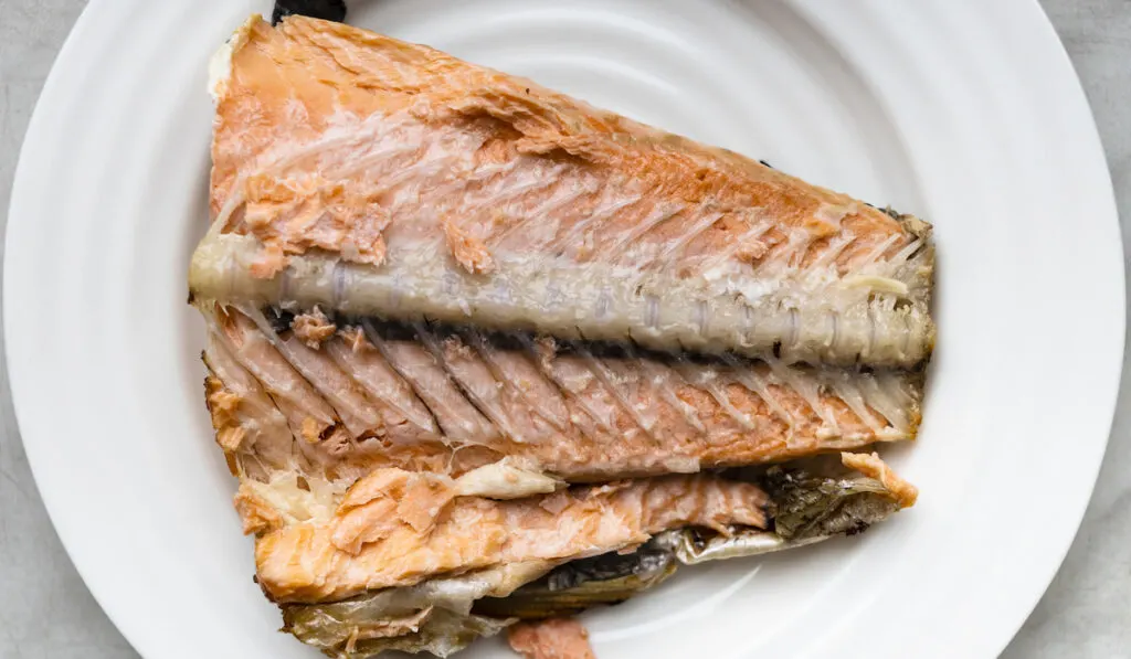 half baked salmon tail part with bones on white plate 