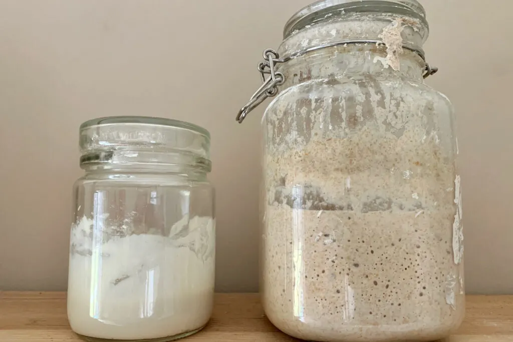 jars of Sourdough starters on a shelf 