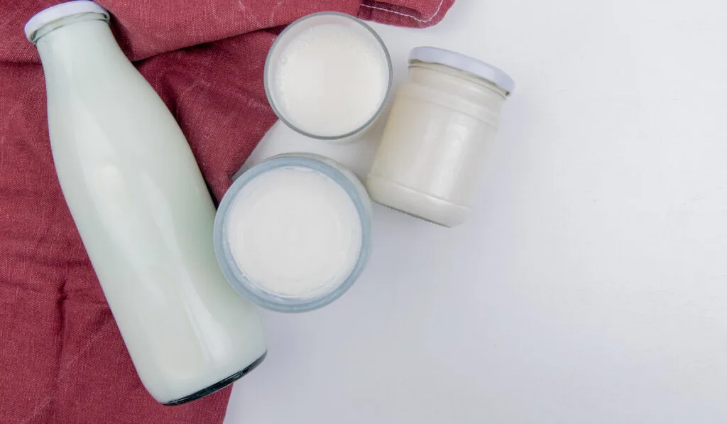 milk products as milk, sour clotted milk and cream on bordo cloth and white background 