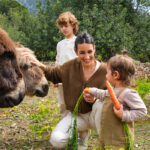 Donkey Ownership Guide for Beginners