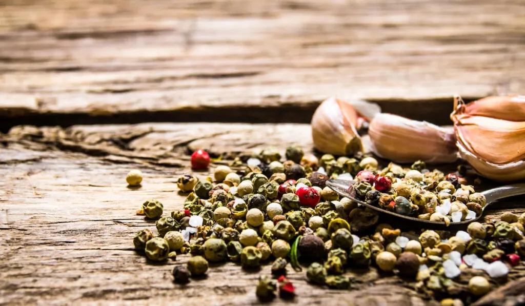 pepper and garlic with spoon on wooden table