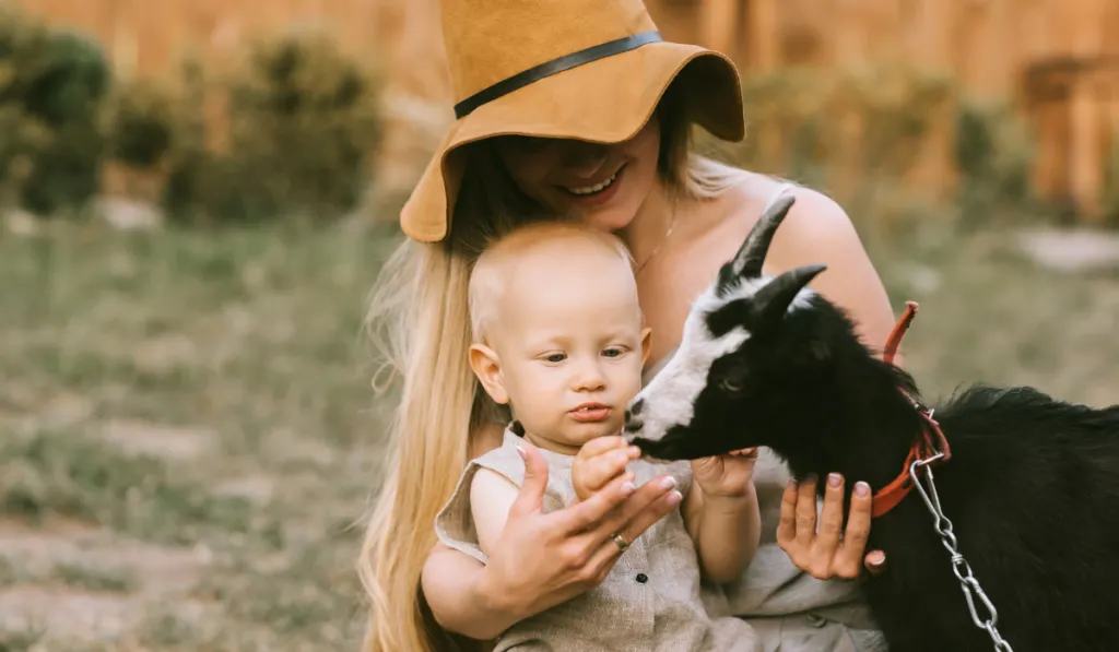 mother and baby feeding goat