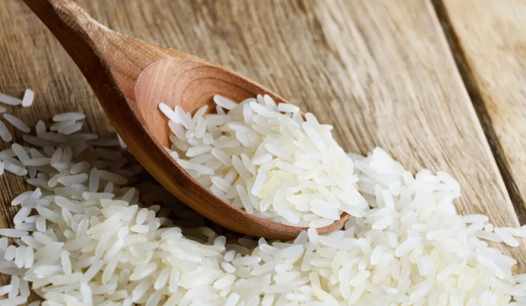 raw rice grains on wooden spoon and wooden table 