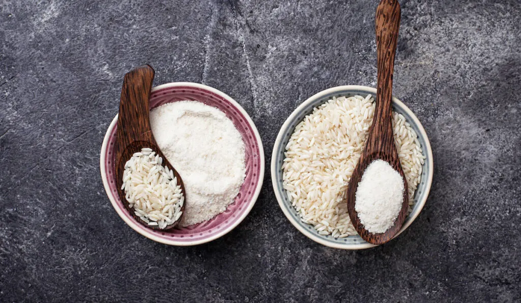 rice flour and rice grain in a bowl on dark gray background