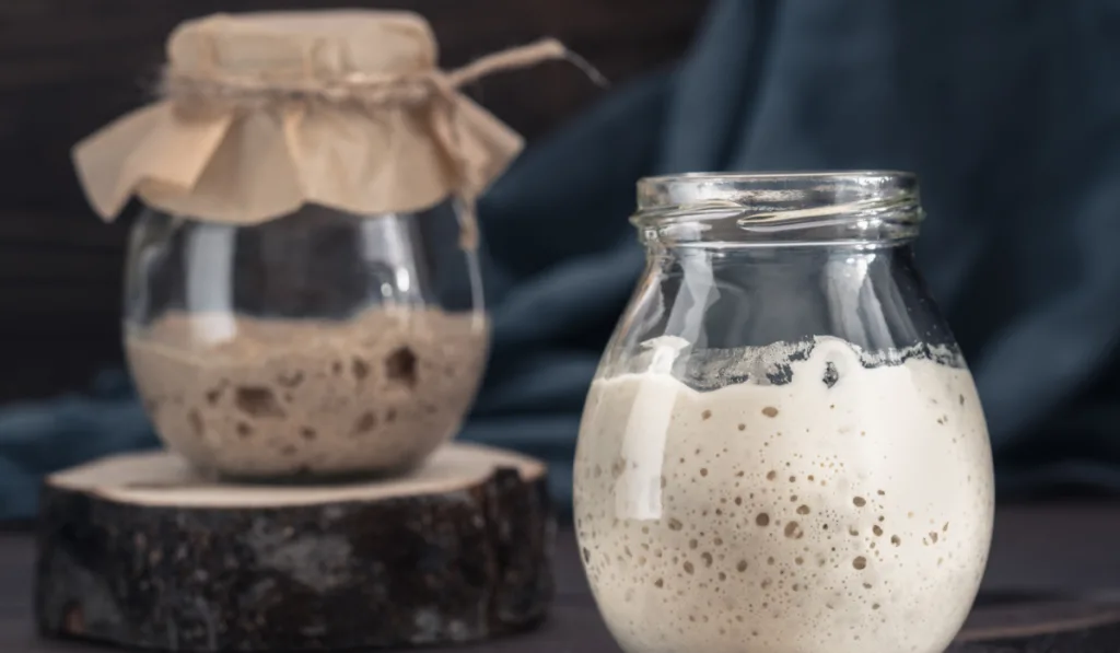 rye and wheat sourdough starter
