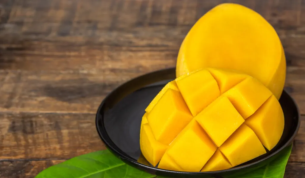 slice of ripe mango on black plate with leaves