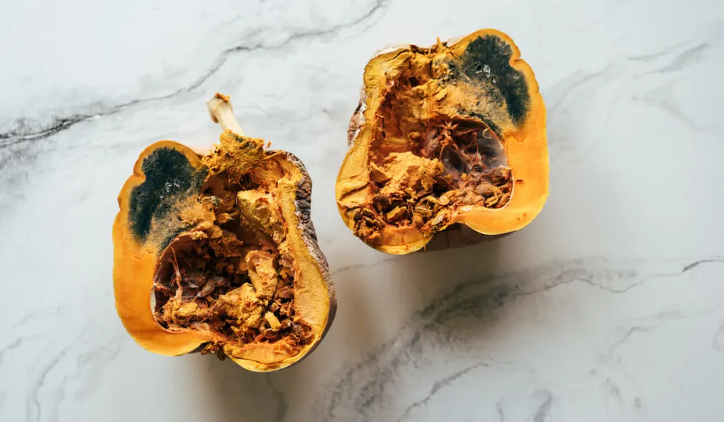 sliced spoiled pumpkin with mold inside on white marble background