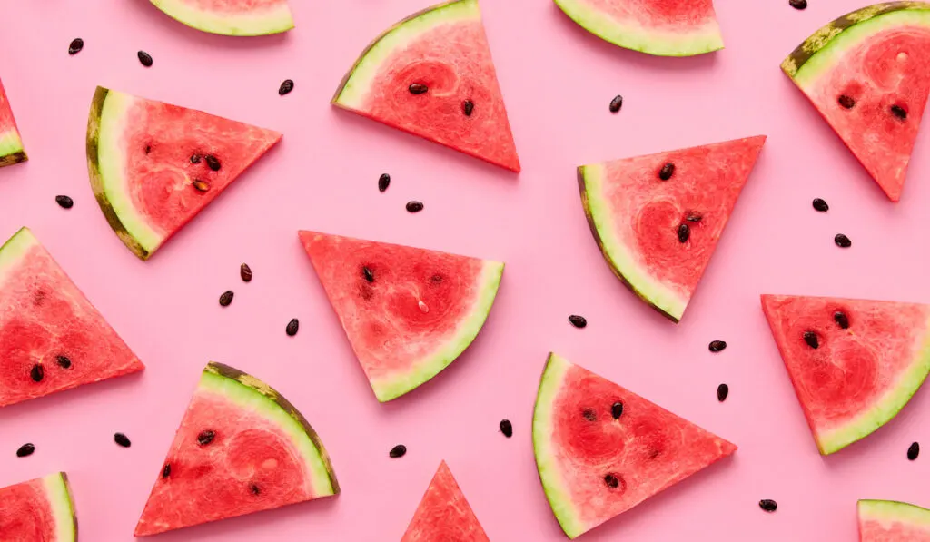 slices of watermelon on pink background 