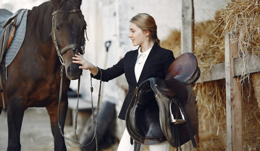 What Size Horse Do I Need Guide To Finding The Right Size Horse