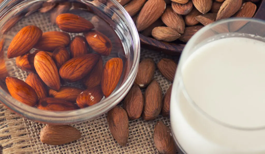 soaked almonds and almond milk 