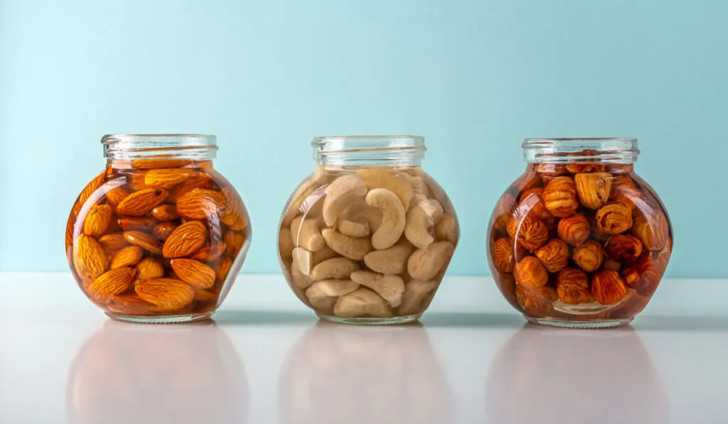 soaking process of different nuts in a jar