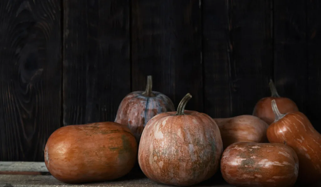 stack of pumpkin on pumpkin dark room storage 