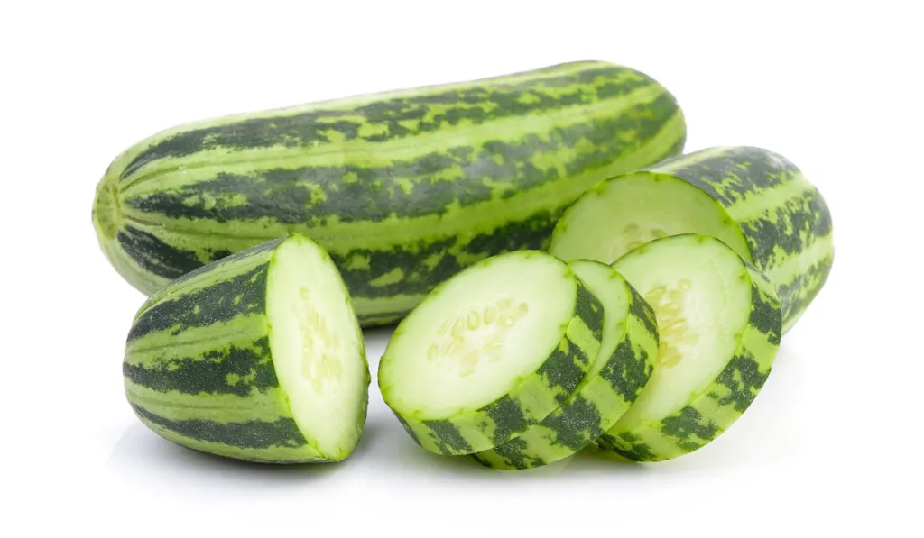 striped cucumber