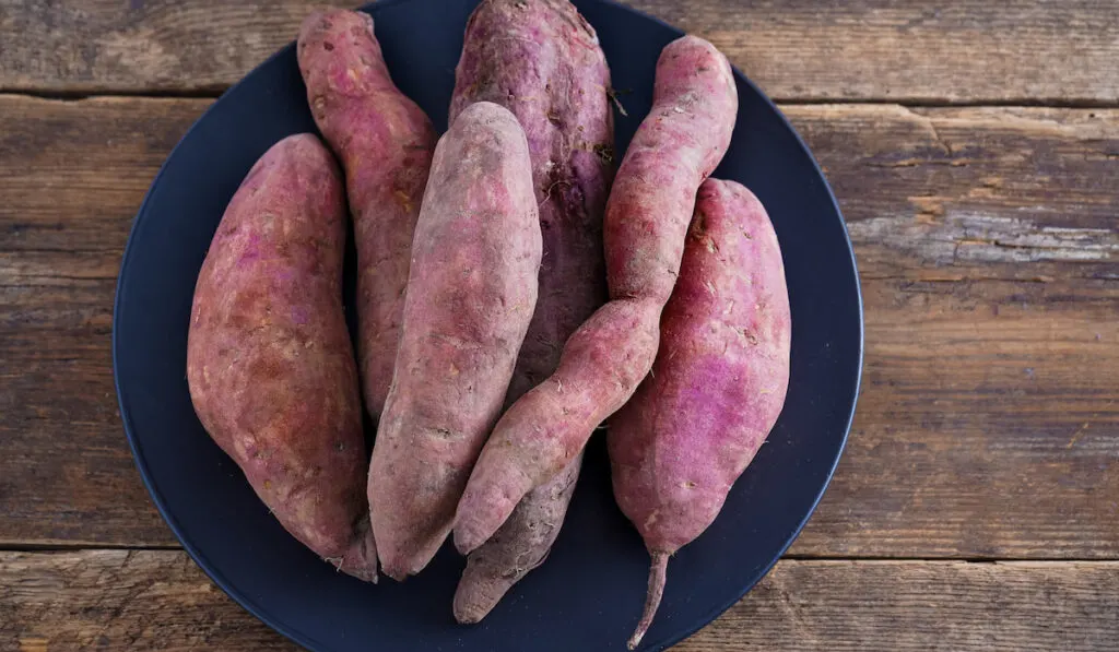 sweet potato in blue plate on wooden table