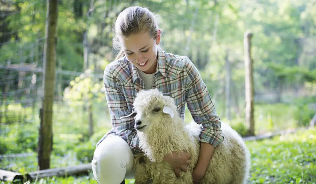 teenager girl hugging haired angora goat on the farm