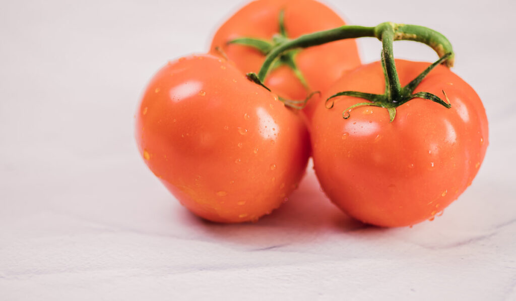 three pieces of fresh tomatoes on white background 