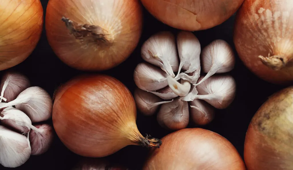 top view of Onions and garlic 