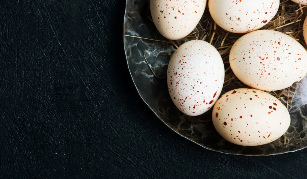 turkey eggs on black plate