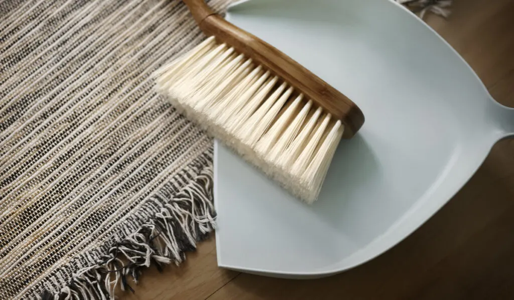 white dustpan and carpet brush on carpet
