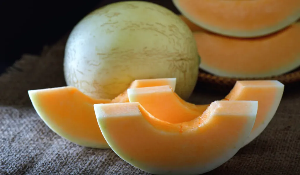 whole and slices of melon on dark background