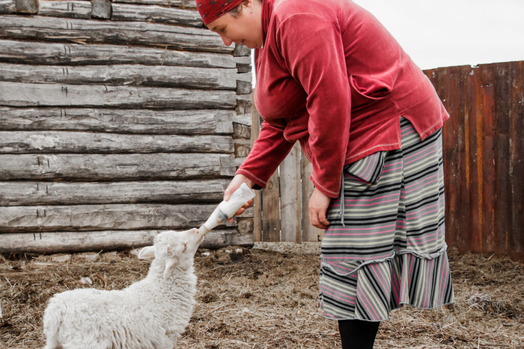 woman feeds a baby goat with milk from a bottle