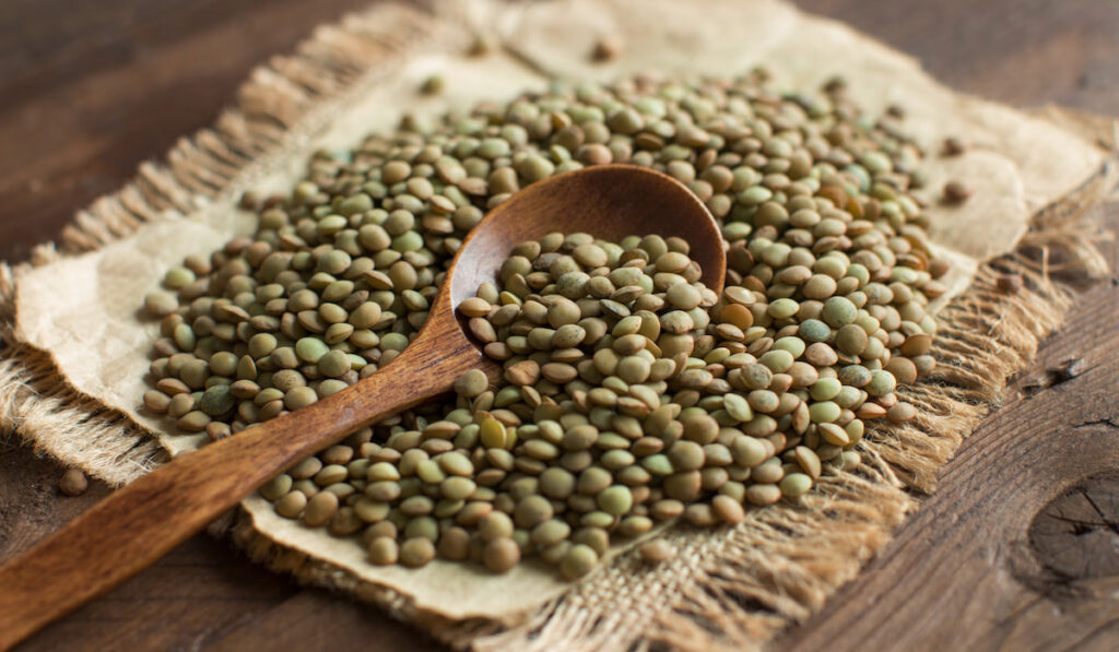 wooden spoon and green lentils on a cloth