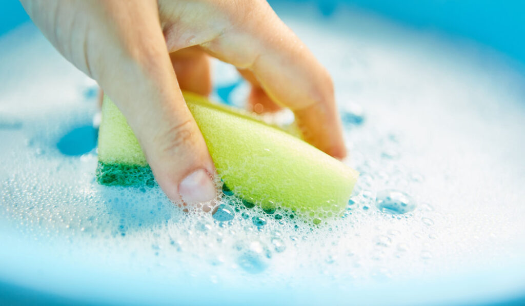 Hand dips sponge in bucket of soapy water for cleaning purposes 