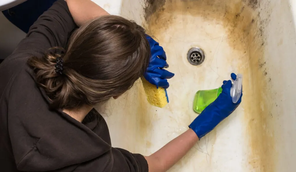 Tired housewife cleaning old dirty bathtub