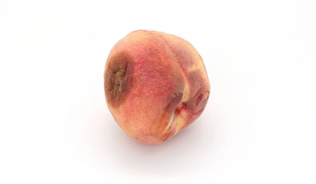 Visible bruise on ripe peach on white background