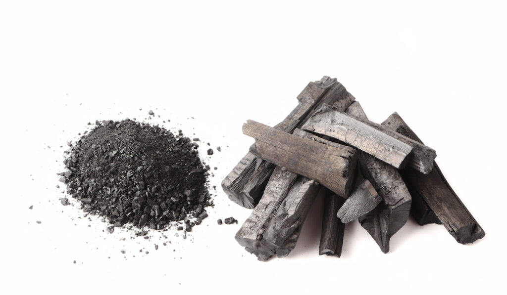 activated charcoal or activated carbon on white background