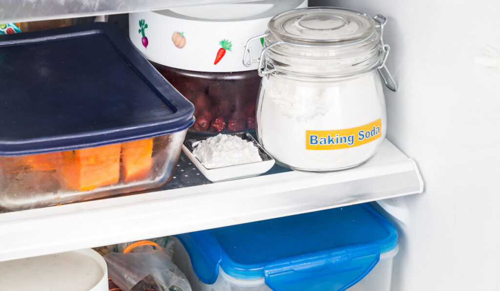 baking soda in a small plate and baking soda in a jar inside the fridge 