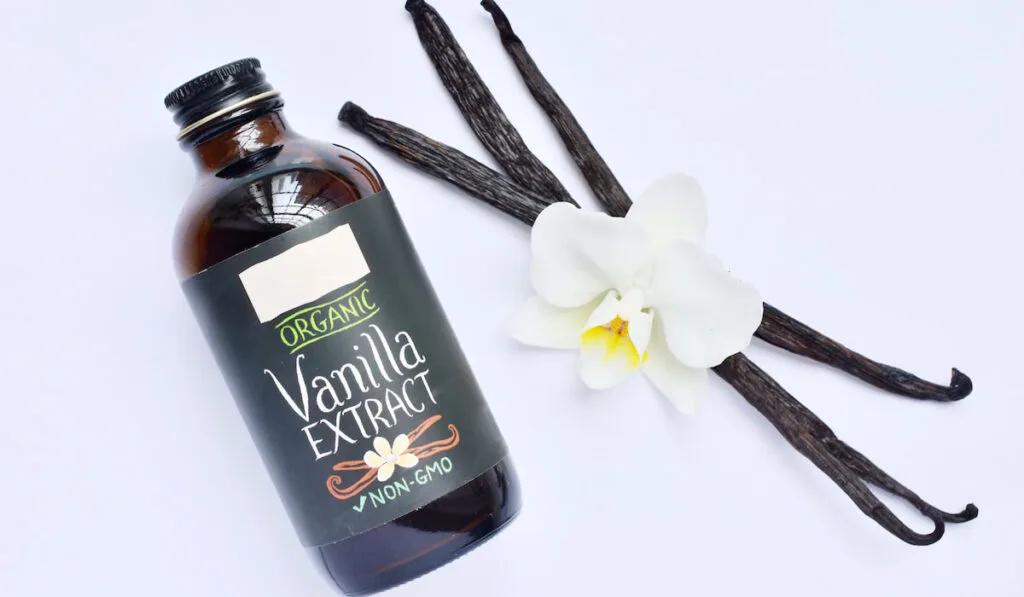 bottle of Vanilla extract, vanilla and white flower on white background