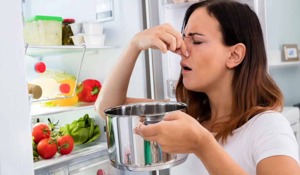 left over food in casserole inside fridge causing bad smell