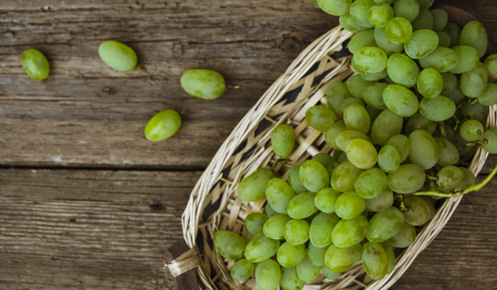 Close up view of ripe green grapes. Background of ripe grapes