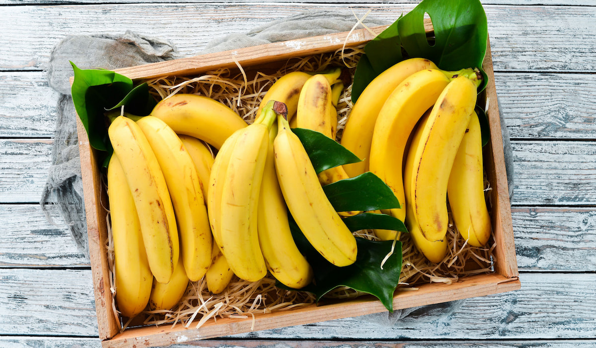 Can Donkeys Eat Banana? Farmhouse Guide