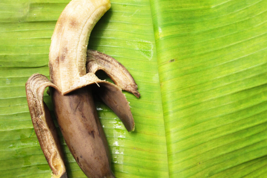 Rotten bananas on a banana leaf
