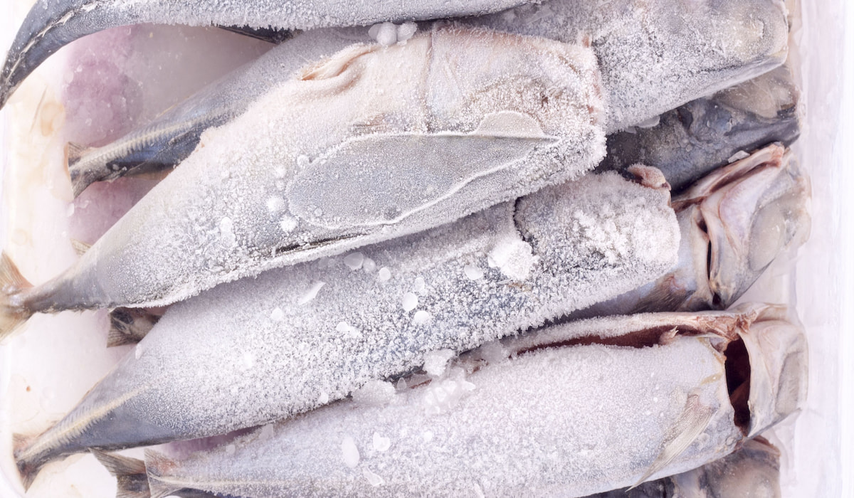 How to Tell if Frozen Fish is Bad Farmhouse Guide